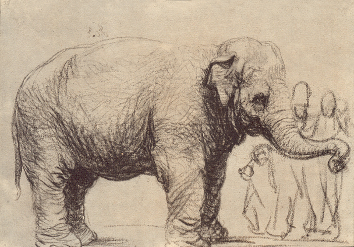 http://www.rembrandtpainting.net/rmbrndt_selected_drawings/drawing_images/elephant.jpg